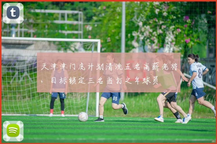 天津津门虎计划清洗五名高薪老将,目标锁定三名当打之年球员